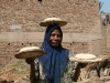 assiut-2.jpg