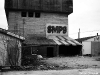 friche2.jpg