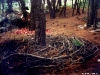 land-art-crete.jpg