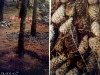 land-art2.jpg