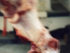 mouton.jpg